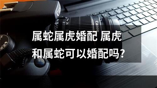 属蛇属虎婚配 属虎和属蛇可以婚配吗?