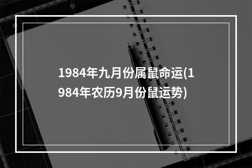 1984年九月份属鼠命运(1984年农历9月份鼠运势)