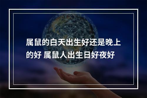 属鼠的白天出生好还是晚上的好 属鼠人出生日好夜好