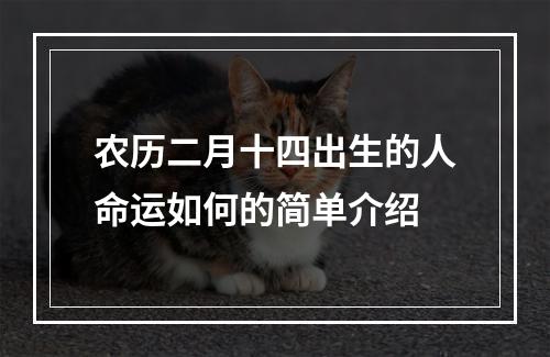 农历二月十四出生的人命运如何的简单介绍