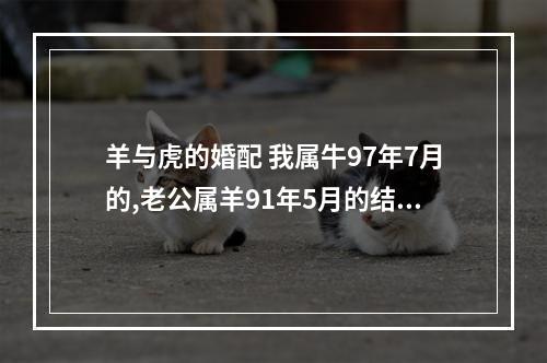 羊与虎的婚配 我属牛97年7月的,老公属羊91年5月的结婚了,有什么啊好的?