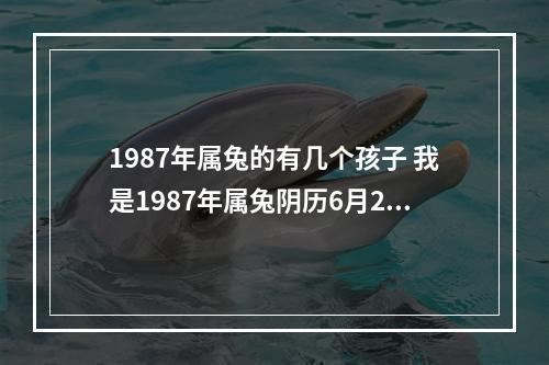 1987年属兔的有几个孩子 我是1987年属兔阴历6月25的生日是个女孩命运有几个子女命