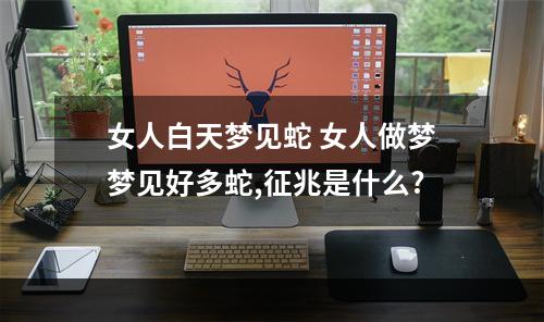 女人白天梦见蛇 女人做梦梦见好多蛇,征兆是什么?