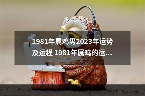 1981年属鸡男2023年运势及运程 1981年属鸡的运气
