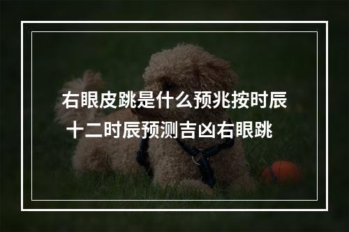 右眼皮跳是什么预兆按时辰 十二时辰预测吉凶右眼跳