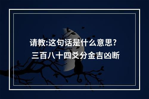 请教:这句话是什么意思? 三百八十四爻分金吉凶断