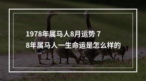 1978年属马人8月运势 78年属马人一生命运是怎么样的