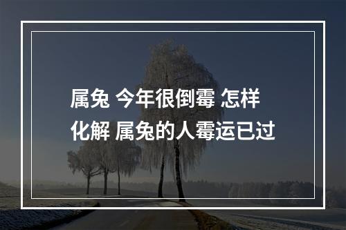 属兔 今年很倒霉 怎样化解 属兔的人霉运已过