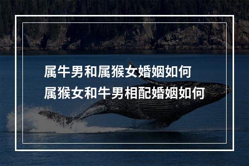 属牛男和属猴女婚姻如何 属猴女和牛男相配婚姻如何