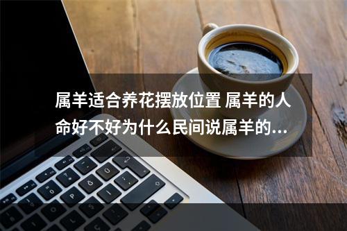 属羊适合养花摆放位置 属羊的人命好不好为什么民间说属羊的不好