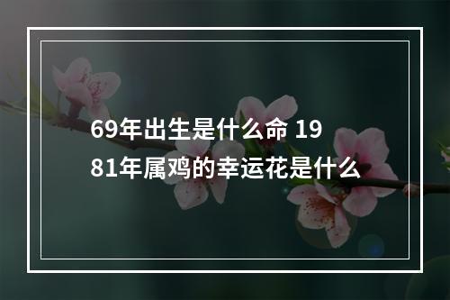69年出生是什么命 1981年属鸡的幸运花是什么