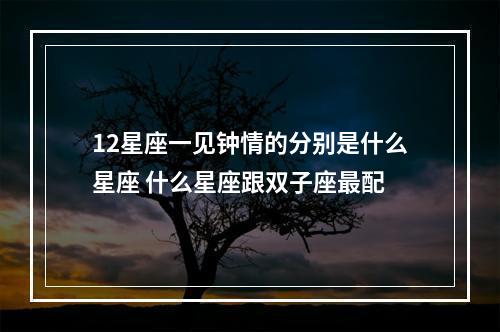 12星座一见钟情的分别是什么星座 什么星座跟双子座最配