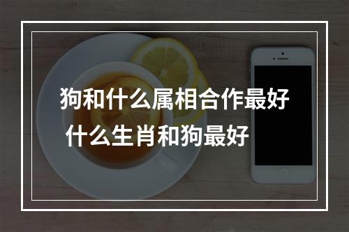 狗和什么属相合作最好 什么生肖和狗最好