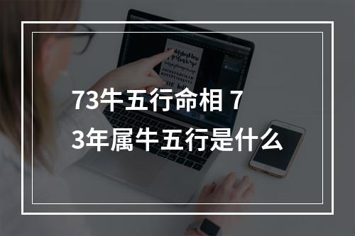 73牛五行命相 73年属牛五行是什么