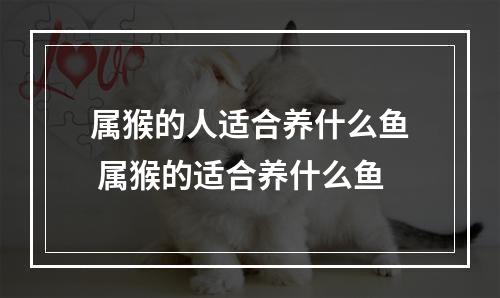 属猴的人适合养什么鱼 属猴的适合养什么鱼