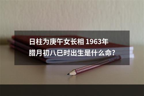 日柱为庚午女长相 1963年腊月初八巳时出生是什么命?