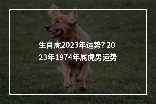 生肖虎2023年运势? 2023年1974年属虎男运势