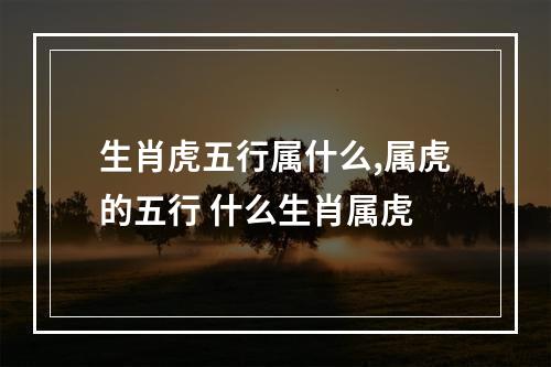 生肖虎五行属什么,属虎的五行 什么生肖属虎