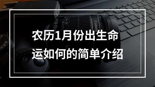 农历1月份出生命运如何的简单介绍