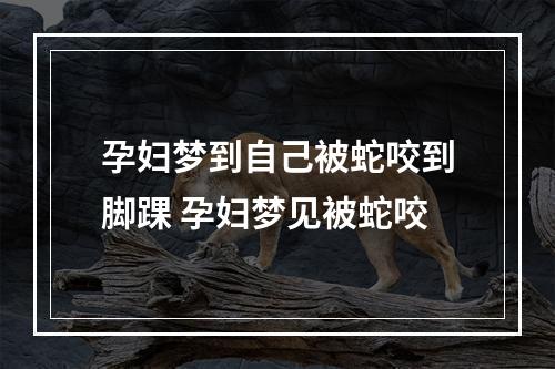 孕妇梦到自己被蛇咬到脚踝 孕妇梦见被蛇咬