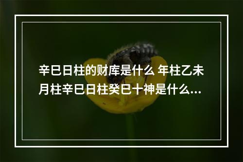 辛巳日柱的财库是什么 年柱乙未月柱辛巳日柱癸巳十神是什么?
