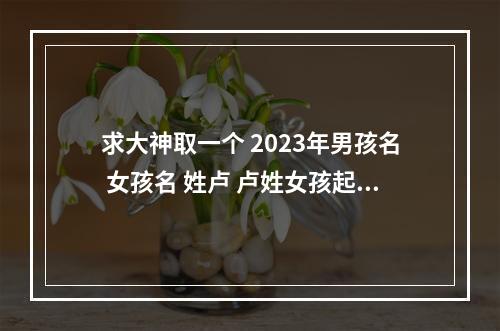 求大神取一个 2023年男孩名 女孩名 姓卢 卢姓女孩起名大全2023两个字