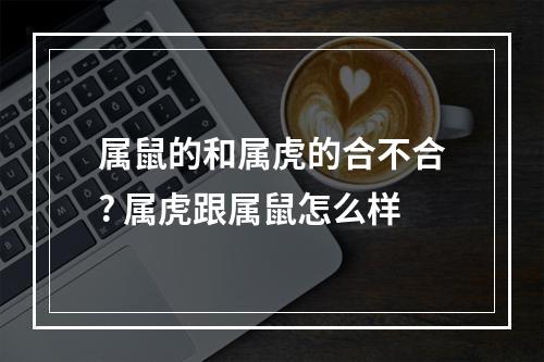 属鼠的和属虎的合不合? 属虎跟属鼠怎么样