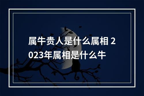 属牛贵人是什么属相 2023年属相是什么牛