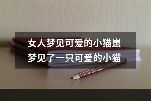 女人梦见可爱的小猫崽 梦见了一只可爱的小猫