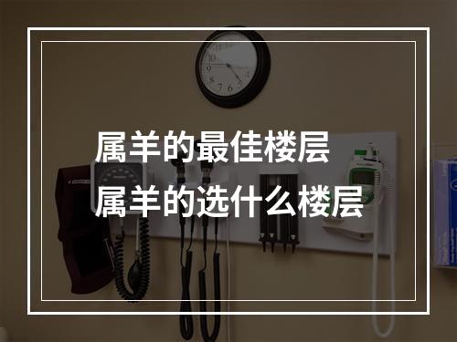 属羊的最佳楼层 属羊的选什么楼层