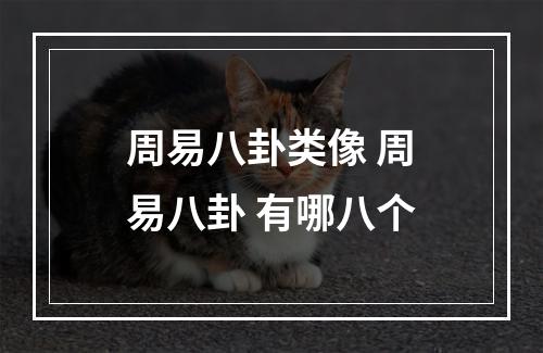 周易八卦类像 周易八卦 有哪八个