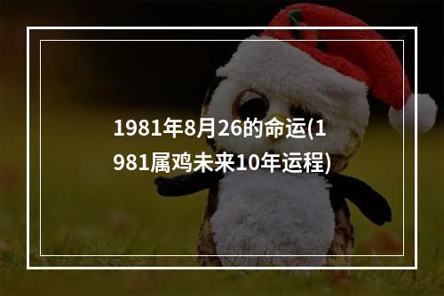 1981年8月26的命运(1981属鸡未来10年运程)