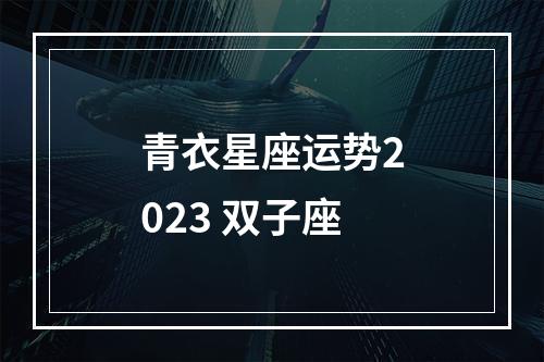 青衣星座运势2023 双子座