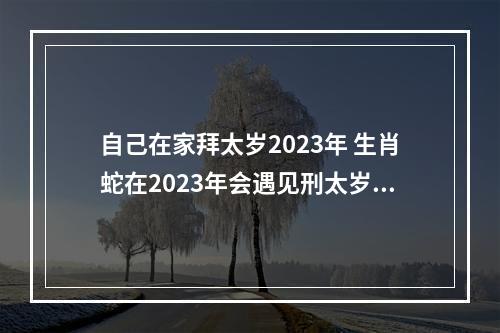 自己在家拜太岁2023年 生肖蛇在2023年会遇见刑太岁的冲击吗?
