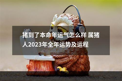 猪到了本命年运气怎么样 属猪人2023年全年运势及运程