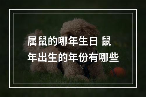 属鼠的哪年生日 鼠年出生的年份有哪些