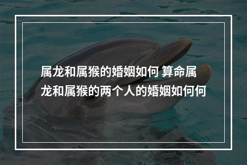 属龙和属猴的婚姻如何 算命属龙和属猴的两个人的婚姻如何何