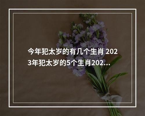 今年犯太岁的有几个生肖 2023年犯太岁的5个生肖2023犯太岁最严重生肖