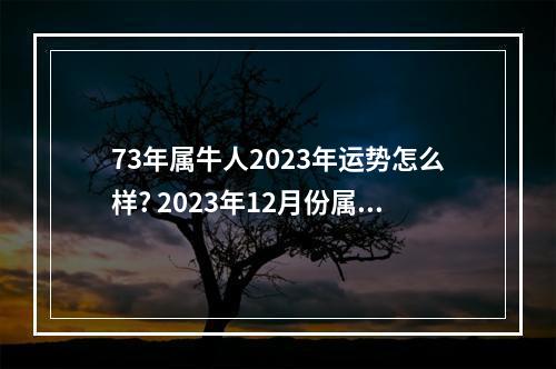 73年属牛人2023年运势怎么样? 2023年12月份属牛的运气
