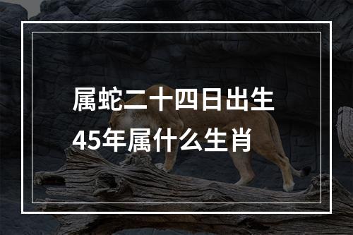 属蛇二十四日出生 45年属什么生肖
