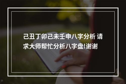 己丑丁卯己未壬申八字分析 请求大师帮忙分析八字盘!谢谢