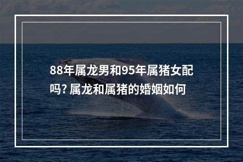 88年属龙男和95年属猪女配吗? 属龙和属猪的婚姻如何