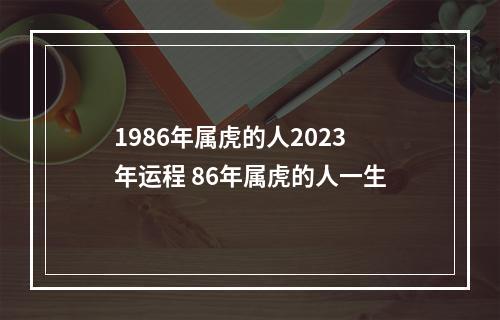 1986年属虎的人2023年运程 86年属虎的人一生