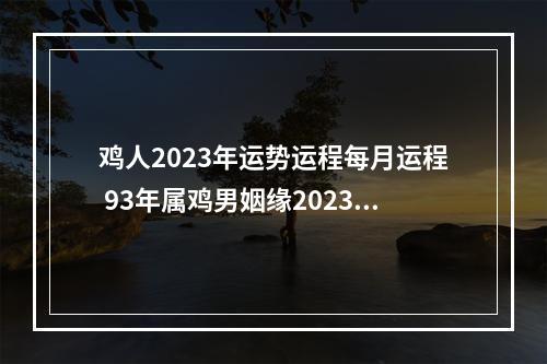 鸡人2023年运势运程每月运程 93年属鸡男姻缘2023下半年