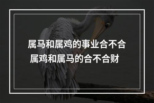 属马和属鸡的事业合不合 属鸡和属马的合不合财