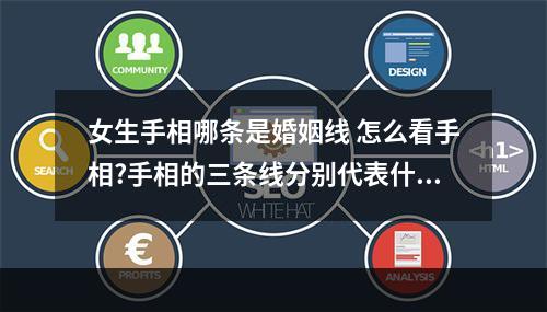 女生手相哪条是婚姻线 怎么看手相?手相的三条线分别代表什么?