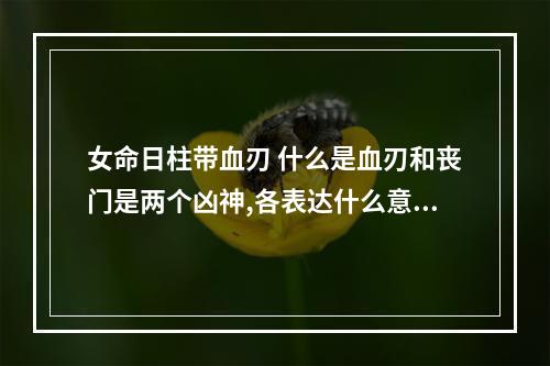 女命日柱带血刃 什么是血刃和丧门是两个凶神,各表达什么意思