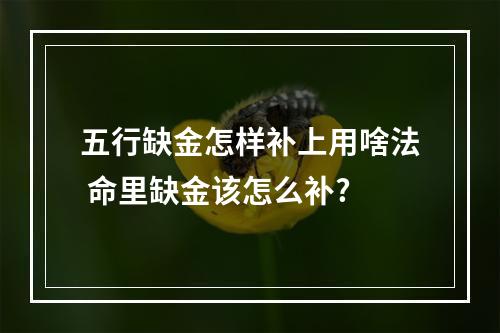 五行缺金怎样补上用啥法 命里缺金该怎么补?