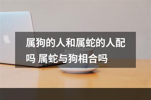 属狗的人和属蛇的人配吗 属蛇与狗相合吗