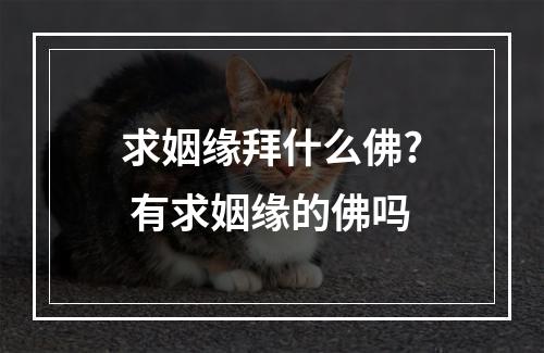 求姻缘拜什么佛? 有求姻缘的佛吗